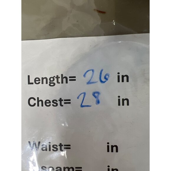 DG2 by Diane Gilman Shirt XS/Small Striped Short Sleeve Blue White Coastal NEW - Picture 3 of 9